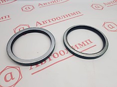 Манжета задней ступицы ЕВРО-3 (140х170х17) 6520-3104017