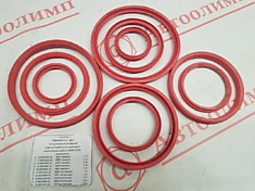 Рк гидроцилиндра КАМАЗ 55102 (17 наим)